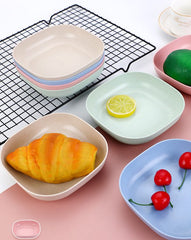 10 Plates Set With Holder