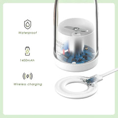 Mini Portable Blender Electric Fruit Juicer 350ml